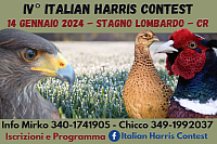 IV° italian Harris Contest